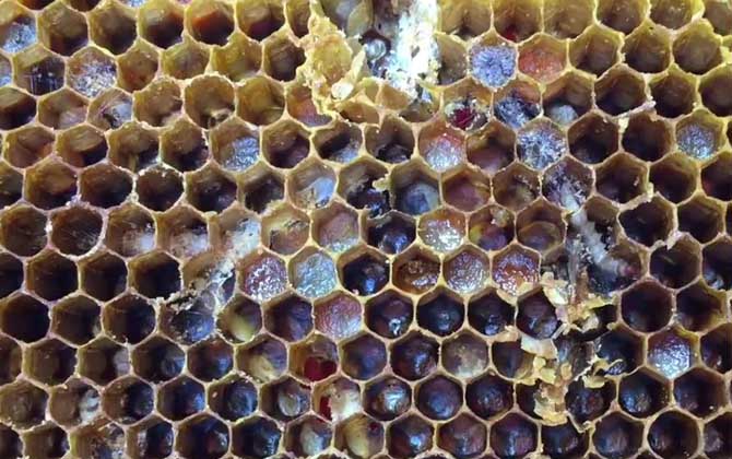 Hive treatment methods